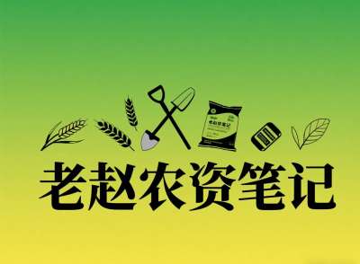 乡镇农资店对接厂家：不是否定代理，是找对&ldquo;有前景的小厂&rdquo;补增量