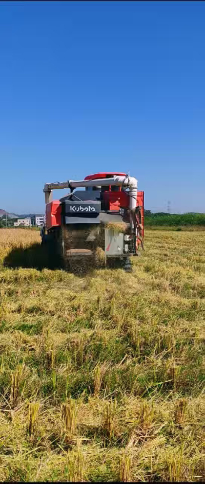 惠州基地，无人拖拉机收水稻了。