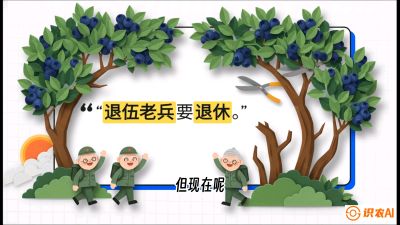 第7节：修剪决定产量（下）&mdash;&mdash;结果树的更新与疏果，课程：《蓝莓&ldquo;高产&rdquo;实战课：从选苗到丰收的10个关键点》