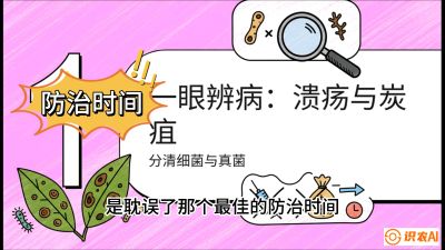 第三节：细菌与真菌&mdash;&mdash;溃疡病与炭疽病，课程：《柑橘十大病虫害：从入门到精通》
