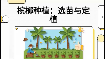 第01节：选苗与定植&mdash;&mdash;&ldquo;苗好一半收，底肥定千秋&rdquo;课程：《槟榔种植：从不懂到精通的10堂必修课》