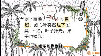第05节：常见真菌病害&mdash;&mdash;&ldquo;炭疽与烂心，早防值千金&rdquo;《槟榔种植：从不懂到精通的10堂必修课》