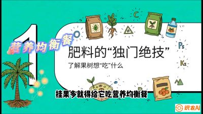 第07节：科学施肥&mdash;&mdash;&ldquo;氮磷钾配好，树壮果不倒