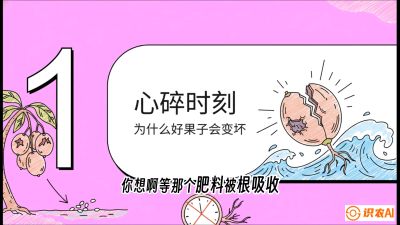 第08节：微量元素与保果&mdash;&mdash;&ldquo;补硼又补钙，果子不裂坏&rdquo;《槟榔种植：从不懂到精通的10堂必修课》