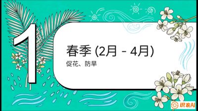 第10节：周年农事日历&mdash;&mdash;&ldquo;跟着节气走，丰产在手头&rdquo;《槟榔种植：从不懂到精通的10堂必修课》