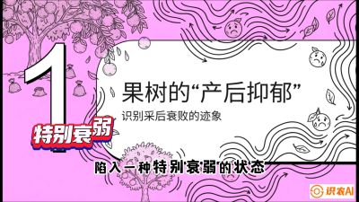 第2节：【冬肥策略】采后&ldquo;月子肥&rdquo;：大小年的精准干预术，课程：《柑橘底肥&ldquo;翻身账&rdquo;：从改土到高产的实战全书》