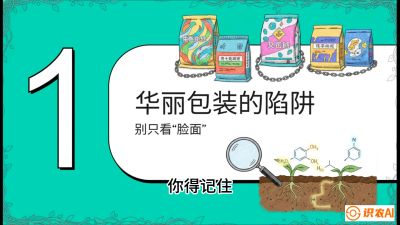 第4节：【黄金配方】底肥里的&ldquo;铁三角&rdquo;与&ldquo;微量雷区&rdquo;课程：《柑橘底肥&ldquo;翻身账&rdquo;：从改土到高产的实战全书》