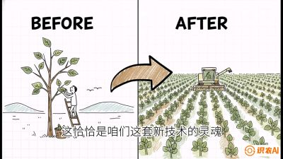 第02节：把树变成草&mdash;&mdash;&ldquo;草本化密植&rdquo;技术，课程：《桑海淘金：桑树高产与蚕桑安全进阶实战课》