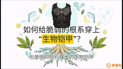 第三节：国产榴莲突围战：根系堡垒，菌根微生态构建与黄金定植窗口，课程：《国产榴莲突围战：从泰国经验到中国实操的8堂必修课（高阶实战版）》