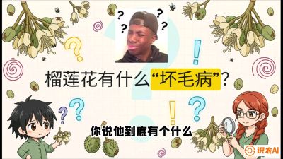 第六节：榴莲的午夜战事，夜间授粉战与花果期避雨策略，课程：《国产榴莲突围战：从泰国经验到中国实操的8堂必修课（高阶实战版）》