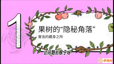 第3节：无人机专治&ldquo;打不透&rdquo;&mdash;&mdash;果树与高杆作物的穿透技巧，课程：《无人机植保搞钱必修课：从&ldquo;瞎飞&rdquo;到&ldquo;懂行&rdquo;的6步进阶》