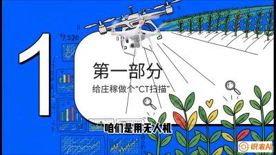 第5节：无人机也能&ldquo;看病抓药&rdquo;&mdash;&mdash;处方图与变量施肥入门，课程：《无人机植保搞钱必修课：从&ldquo;瞎飞&rdquo;到&ldquo;懂行&rdquo;的6步进阶》