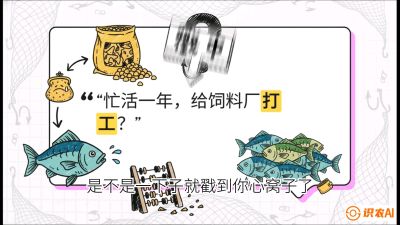 第一节：【选品与规划】如果不养&ldquo;四大家鱼&rdquo;，我们还能养什么？,课程：《黄金鳞甲：2025中国淡水鱼高效养殖实战营》