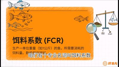 第五节：【高端单品&middot;鳜鱼】&ldquo;饲料鳜&rdquo;技术：打破吃活饵的高成本魔咒，课程：《黄金鳞甲：2025中国淡水鱼高效养殖实战营》