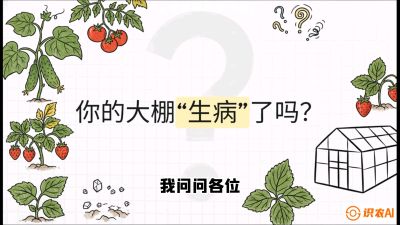 第2节（解毒篇）： 大棚里的&ldquo;红白绿&rdquo;警报&mdash;&mdash;读懂土壤盐渍化的求救信号，课程：《揭秘土壤的秘密：让土地帮你赚钱》#识农AI