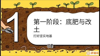 第6节（统筹篇）： 省钱又增产的&ldquo;黄金配比&rdquo;&mdash;&mdash;不同作物全年的养土实操方案，课程：《揭秘土壤的秘密：让土地帮你赚钱》#识农AI