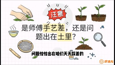 第02节（土肥篇）：告别&ldquo;苦涩水味&rdquo;：揭秘&ldquo;碳氮比&rdquo;调控术，种出自带兰花香的好茶底，课程：《茶金时代：从&ldquo;看天吃饭&rdquo;到&ldquo;精准控局&rdquo;的茶叶高产提质实战课》