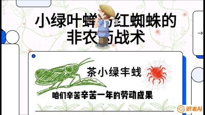 第03节（虫害篇）：看不见的吸血鬼：小绿叶蝉与红蜘蛛的&ldquo;非农药&rdquo;团灭战术（抗性治理），课程：《茶金时代：从&ldquo;看天吃饭&rdquo;到&ldquo;精准控局&rdquo;的茶叶高产提质实战课》