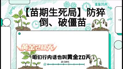 第2节：【苗期生死局】防猝倒、破僵苗，决定后期产量的&ldquo;黄金20天&rdquo;，课程：《辣椒种植实战特训营，从工业辣椒到精品小米辣，教你如何把&ldquo;草&rdquo;种成&ldquo;金&rdquo;》