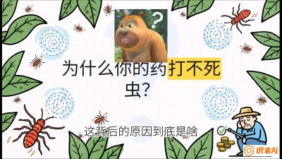 第4节：【虫害歼灭战】打不死的蓟马、隐形的茶黄螨：抗性时代的&ldquo;混配绝杀&rdquo;，课程：《辣椒种植实战特训营，从工业辣椒到精品小米辣，教你如何把&ldquo;草&rdquo;种成&ldquo;金&rdquo;》