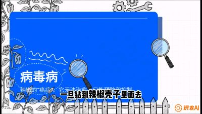 第5节：【病毒病阻击】辣椒的&ldquo;癌症&rdquo;怎么治？从&ldquo;绝收恐慌&rdquo;到&ldquo;带毒生产&rdquo;的逆转术，课程：《辣椒种植实战特训营，从工业辣椒到精品小米辣，教你如何把&ldquo;草&rdquo;种成&ldquo;金&rdquo;》
