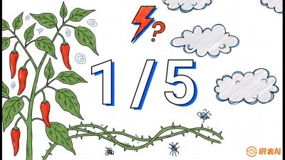 第6节：【花果爆发术】落花落果的五大元凶，与&ldquo;三喷一保&rdquo;坐果黑科技，课程：《辣椒种植实战特训营，从工业辣椒到精品小米辣，教你如何把&ldquo;草&rdquo;种成&ldquo;金&rdquo;》