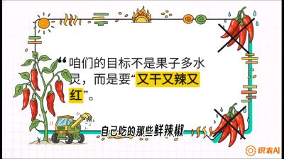 第7节：【工业辣椒专场】追求极致辣度！干物质提升与机械化采收的&ldquo;催红秘籍&rdquo;，课程：《辣椒种植实战特训营，从工业辣椒到精品小米辣，教你如何把&ldquo;草&rdquo;种成&ldquo;金&rdquo;》