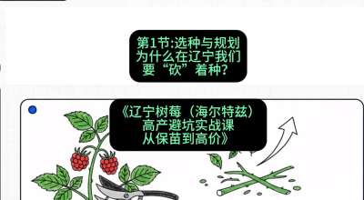 第一节： 选种与规划&mdash;&mdash;为什么在辽宁我们要&ldquo;砍&rdquo;着种？，课程：《辽宁树莓（海尔特兹）高产避坑实战课：从保苗到高价》