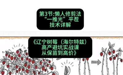 第三节： 懒人修剪法&mdash;&mdash;&ldquo;一推光&rdquo;平茬技术详解，课程：《辽宁树莓（海尔特兹）高产避坑实战课：从保苗到高价》