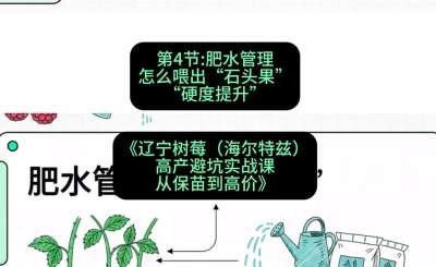 第四节： 肥水管理&mdash;&mdash;怎么喂出&ldquo;石头果&rdquo;（硬度提升），课程：《辽宁树莓（海尔特兹）高产避坑实战课：从保苗到高价》