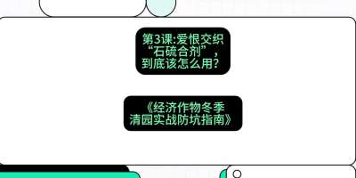 第3节：【核武药剂】爱恨交织的&ldquo;石硫合剂&rdquo;，到底该怎么用？，课程：《经济作物冬季清园&middot;实战防坑指南》#识农AI