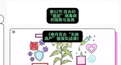 第02节：百合的&ldquo;癌症&rdquo;&mdash;&mdash;病毒病的阻断与急救，课程：《卷丹百合&ldquo;无病高产&rdquo;植保实战课》#识农AI