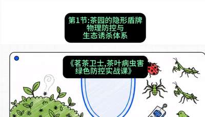 第01节：茶园的&ldquo;隐形盾牌&rdquo;&mdash;&mdash;物理防控与生态诱杀体系，课程：《茗茶卫士&mdash;&mdash;茶叶病虫害绿色防控实战课》#识农AI