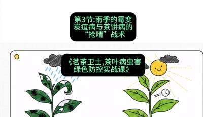第03节：雨季的霉变&mdash;&mdash;炭疽病与茶饼病的&ldquo;抢晴&rdquo;战术，课程：《茗茶卫士&mdash;&mdash;茶叶病虫害绿色防控实战课》#识农AI