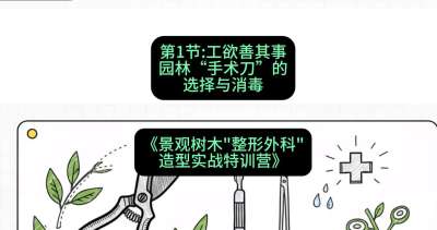 第01节：工欲善其事&mdash;&mdash;园林&ldquo;手术刀&rdquo;的选择与消毒，课程：《景观树木&ldquo;整形外科&rdquo;造型实战特训营》#识农AI