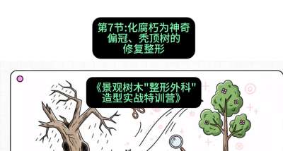 第07节：化腐朽为神奇&mdash;&mdash;偏冠、秃顶树的修复整形，课程：《景观树木&ldquo;整形外科&rdquo;造型实战特训营》#识农AI