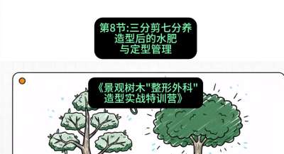 第08节：三分剪七分养&mdash;&mdash;造型后的水肥与定型管理，课程：《景观树木&ldquo;整形外科&rdquo;造型实战特训营》#识农AI