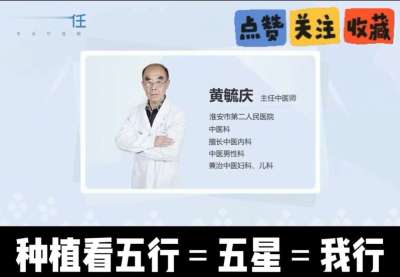 中药材淫羊藿怎么种？听专家一次讲明白！不挑地块好管理，耐寒耐旱省心省力，新手也能轻松上手，药用价值高、市场需求稳，妥妥的增收好品种～ 从生长习性到采收要点，干货满满无废话，种植疑问直接问，一对一答疑解