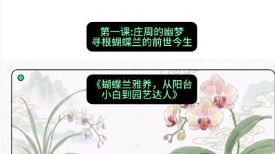 第一节：庄周的幽梦：寻根蝴蝶兰的前世今生，课程：《蝴蝶兰雅养六讲：从阳台小白到园艺达人》#识农AI