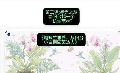 第三节：寻光之旅：给阳台找一个&ldquo;仿生雨林&rdquo;，课程：《蝴蝶兰雅养六讲：从阳台小白到园艺达人》#识农AI