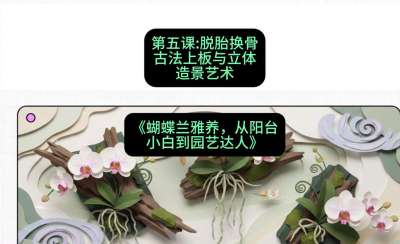 第五节：脱胎换骨：古法上板与立体造景艺术，课程：《蝴蝶兰雅养六讲：从阳台小白到园艺达人》#识农AI