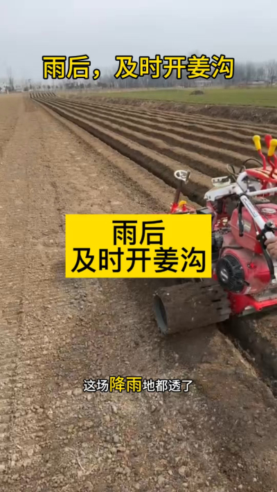 雨后，及时开姜沟！
