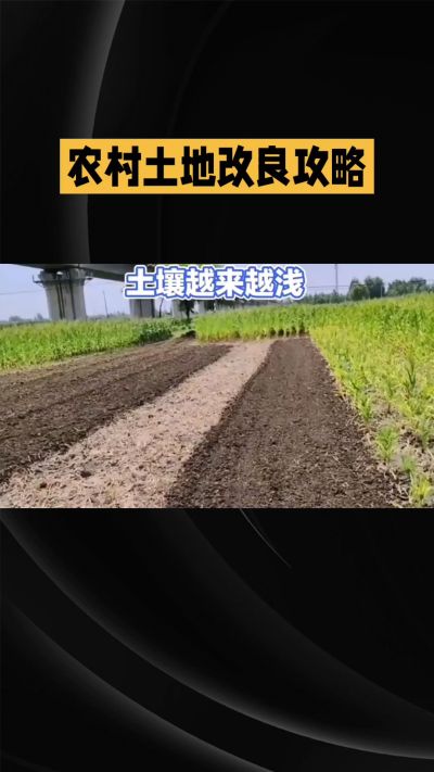 1. 先搞懂：你到底要改良哪块地、种什么
 
- 土土土在哪里？
就是你自家农田、菜地、果园，哪块地想种庄稼，就测哪块地的土。
​
- 有水没有水？
有水能浇：改良更省事，施肥、调酸碱都好操作。
没水