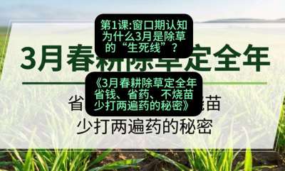 第1节：窗口期认知，为什么3月是除草的&ldquo;生死线&rdquo;？，课程：《3月春耕除草定全年：省钱、省药、不烧苗、少打两遍药的秘密》